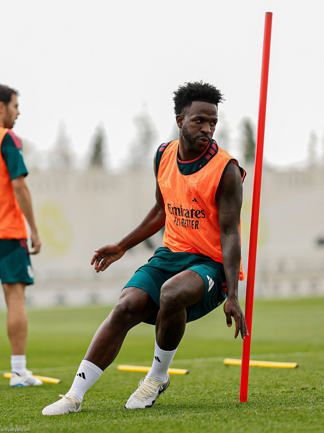 فحص وتدريب