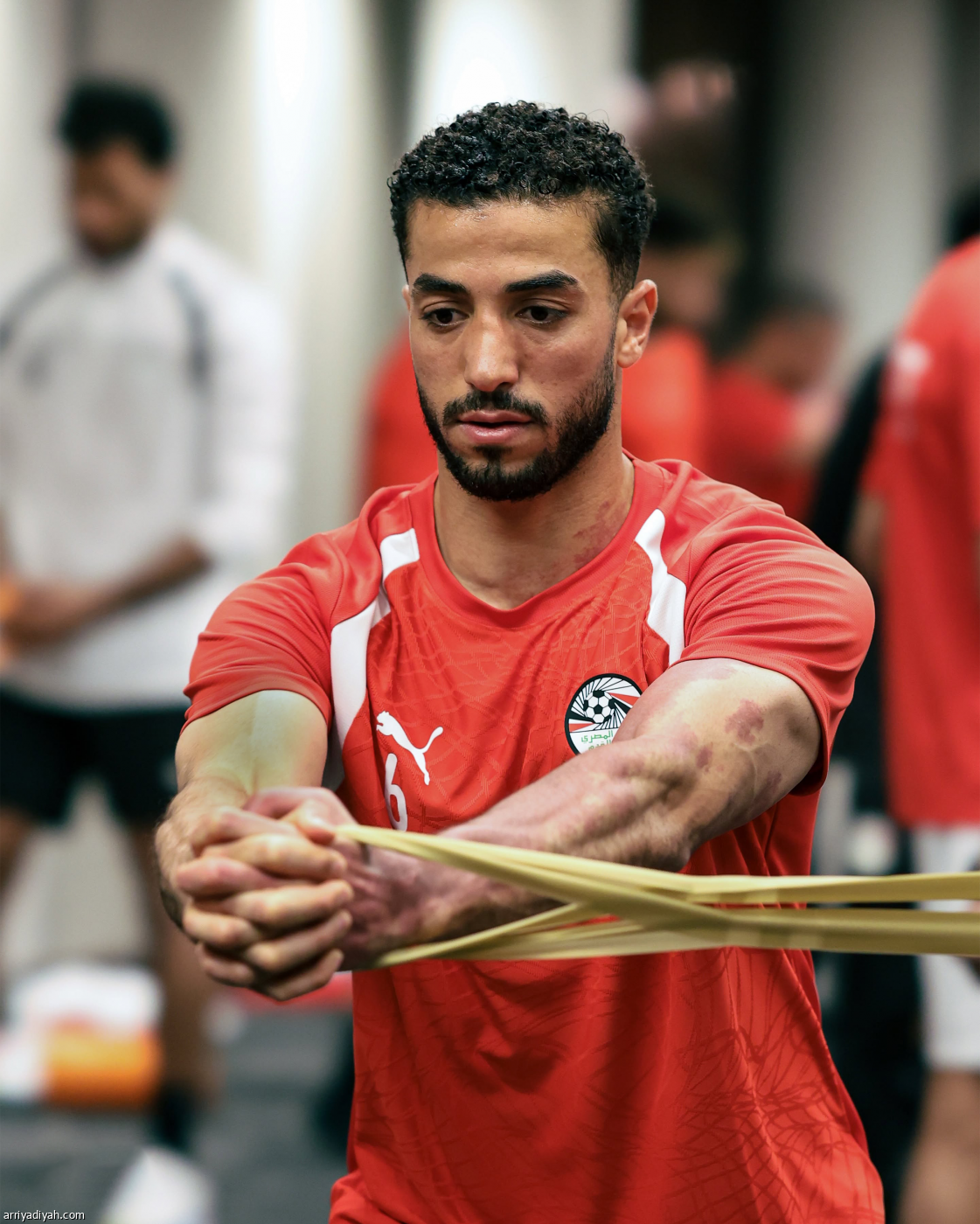 استعداد مصري