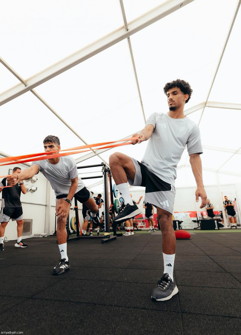 تقوية عضلات