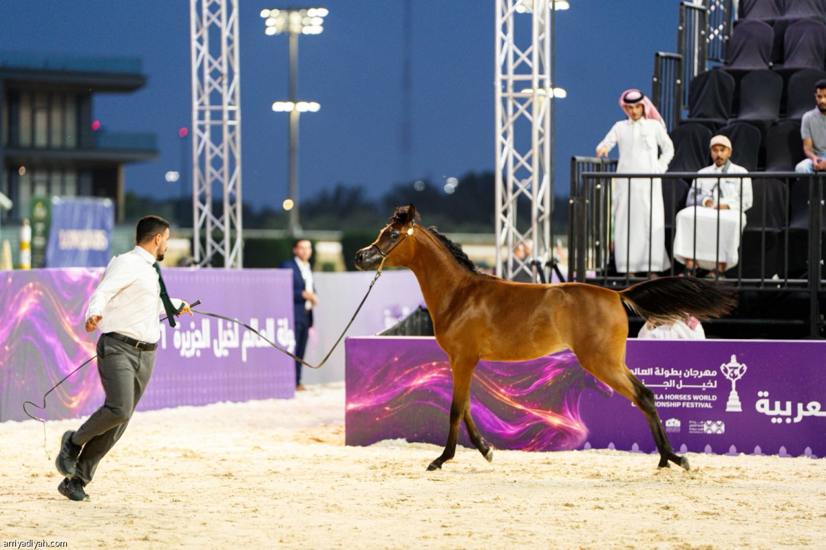 خيل الجزيرة